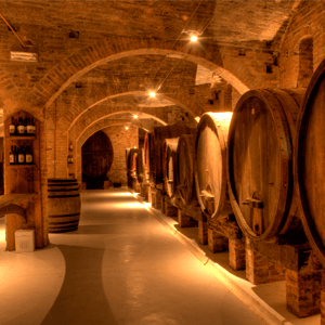 氣體檢測儀 氣體檢測儀