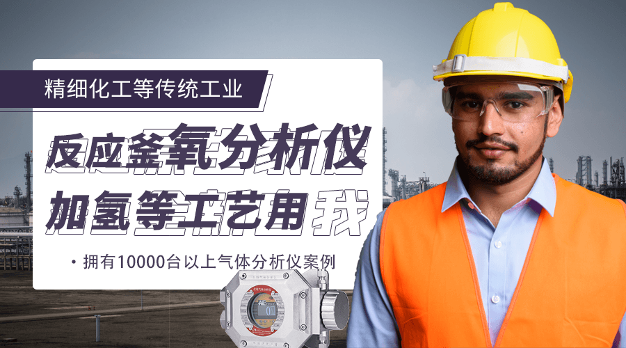 反應釜氧含量分析儀器廠家 反應釜氧含量分析儀器廠家